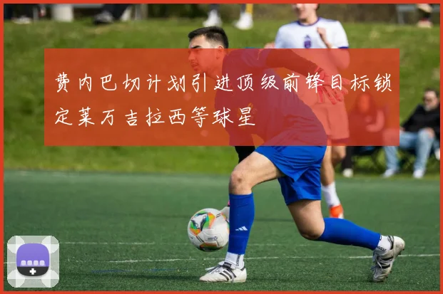 费内巴切计划引进顶级前锋目标锁定莱万吉拉西等球星
