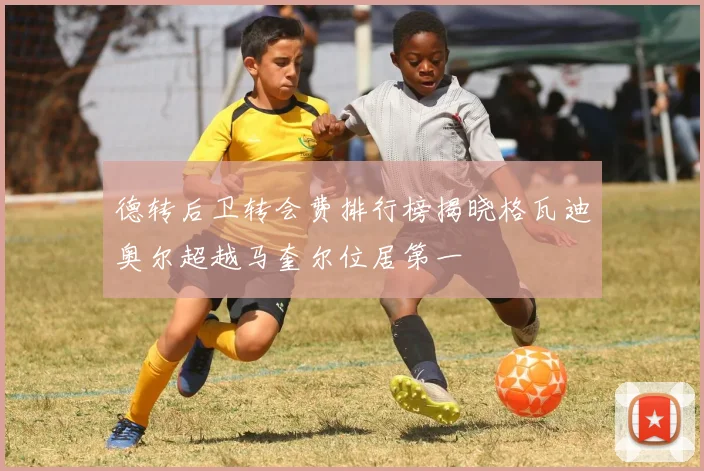 德转后卫转会费排行榜揭晓格瓦迪奥尔超越马奎尔位居第一